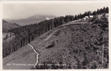AK Alpl (Waldheimat) gegen d. Hohe Veitsch. (1933-34)