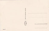 AK Alpl (Waldheimat) gegen d. Hohe Veitsch. (1933-34)