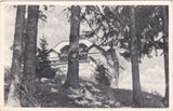 AK Mürzzuschlag-Hönigsberg. Alpenpension Bärenkogelhaus. Görig-Schruf.