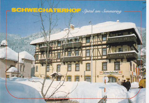 Werbe-AK Spital am Semmering. Schwechaterhof vulgo Hirschenhof.