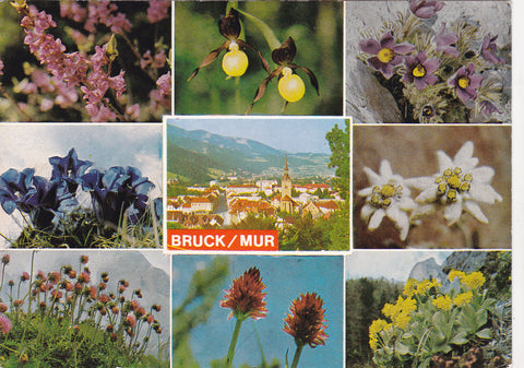 AK Bruck an der Mur.