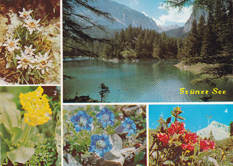 AK Grüner See. Tragöß.