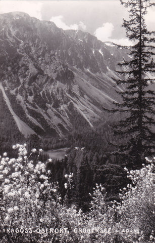 AK Tragöss-Oberort. Grüner See.