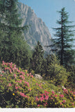 AK Baumer-Alm mit Feistringstein im Hochschwabgebiet.