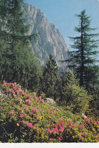 AK Baumer-Alm mit Feistringstein im Hochschwabgebiet.