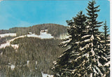 AK Alpl. Peter Roseggers Geburtshaus. Waldheimat.
