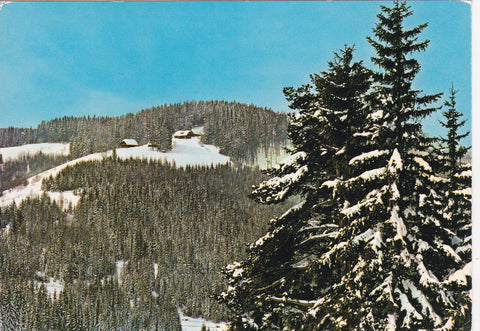 AK Alpl. Peter Roseggers Geburtshaus. Waldheimat.