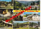 AK Peter Roseggers Waldheimat Alpl.
