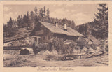 AK Krieglach - Alpl. Waldschulhaus. (1925)