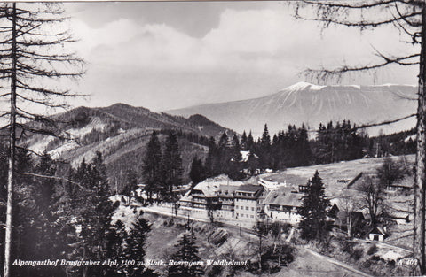 AK Alpengasthof Bruggraber Alpl. Roseggers Waldheimat.