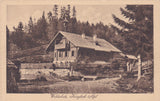AK Waldschule, Krieglach-Alpl. (1921/22)