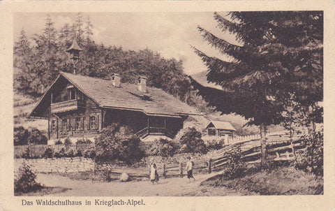 AK Das Waldschulhaus in Krieglach-Alpl.