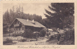 AK Waldheimat, Waldschule in Alpl bei Krieglach. (1913)