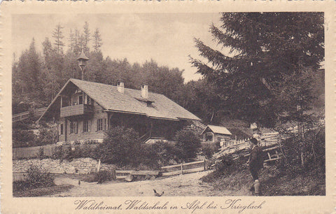 AK Waldheimat, Waldschule in Alpl bei Krieglach. (1913)