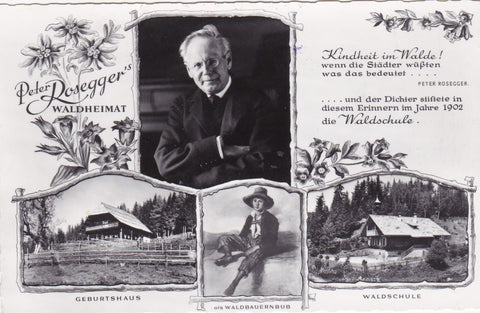 AK Peter Rosegger's Waldheimat.