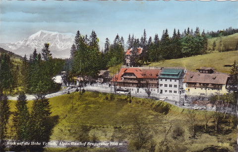 AK Blick auf die Hohe Veitsch, Alpen Gasthof Bruggraber.