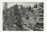 AK Paßhöhe Niederalpl. Alpengasthof R. Gamsjäger.