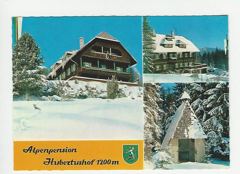 AK Alpenpension Hubertushof. Wartberg im Mürztal.