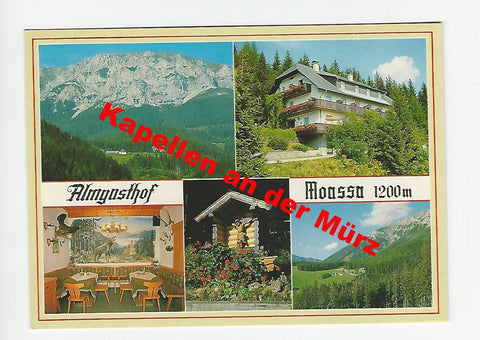 AK Kapellen an der Mürz. Almgasthof Moassa. Familie Ulm.