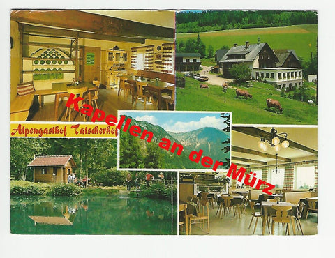 AK Kapellen an der Mürz. Tatscherhof. Gasthof und Pension Griesmeier.
