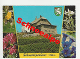 AK Schneealpenhaus. Pächterin Christine Baumann. Kapellen a/Mürz.
