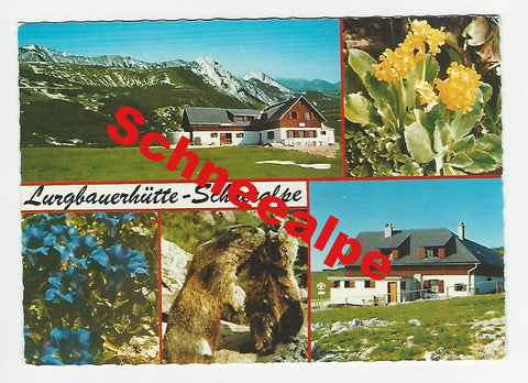 AK Lurgbauerhütte - Ameisbühel mit Mitterbergschneid. Kapellen-Altenberg 23.