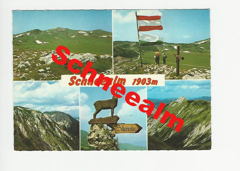 AK Schneealm.