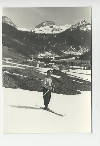 Foto Neuberg mit Schneealpe.