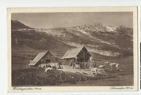 AK Windberghütten. Schneealpe. (1923)