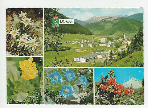 AK Veitsch.