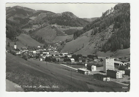 AK Dorf Veitsch im Mürztale. (1964)