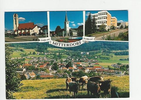 AK Grüße aus Mitterdorf im Mürztal.