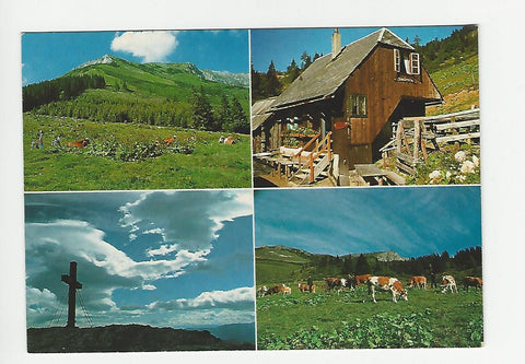 AK Schalleralm (Hohe Veitsch). Schallerhütte.