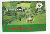 AK Krieglach, Malleisten 16. Pension Tannhof. Familie Schrittwieser.