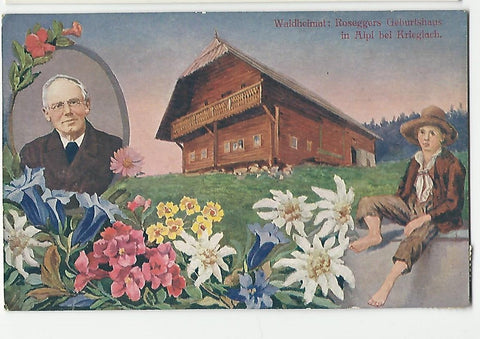 AK Waldheimat: Roseggers Geburtshaus in Alpl bei Krieglach. (1922)