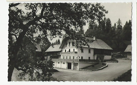 AK Krieglach. Pension Tannhof. F. u. M. Schrittwieser. Malleisten 16.