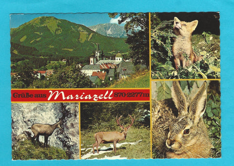 AK Grüße aus Mariazell.