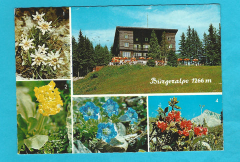 AK Bürgeralpe bei Mariazell.