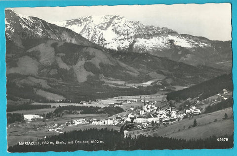 AK Mariazell.