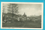 AK Mariazell vom Wege zur Bahn. (1916)