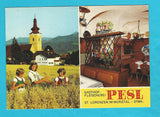 AK St. Lorenzen im Mürztal. Gasthof Fleischerei Pesl.