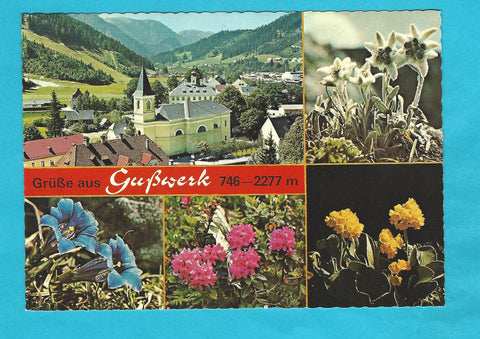 AK Grüße aus Gußwerk.