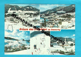 AK Grüsse aus Steinhaus am Semmering.