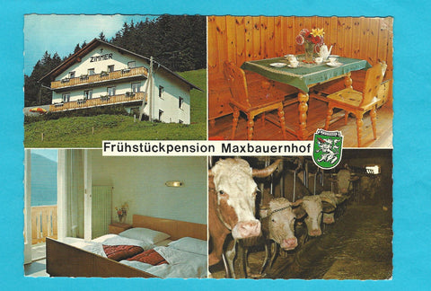 AK Steinhaus am Semmering. Frühstückspension Maxbauernhof. Peter und Hermine Fraiss.