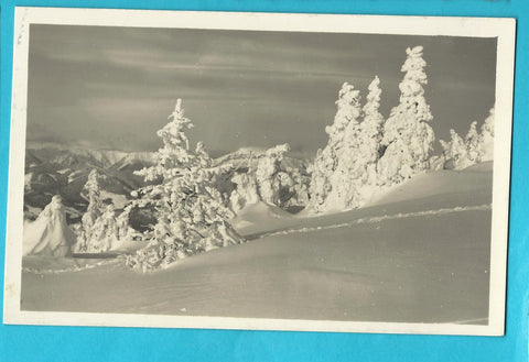 AK Stuhleck, Raxblick von der Abfahrt nach Steinhaus. (1927)