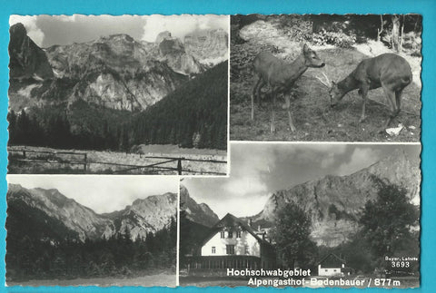 AK Hochschwabgebiet. Alpengasthof Bodenbauer.