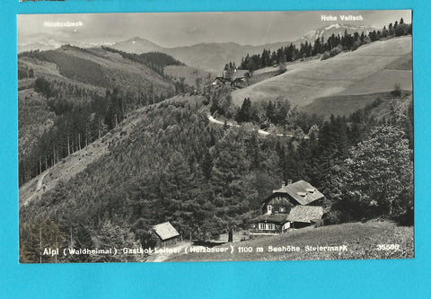 AK Alpl (Waldheimat) Gasthof Leitner (Holzbauer).