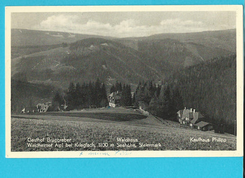 AK Gasthof Bruggraber Waldheimat Alpl bei Krieglach. Waldhaus. Kaufhaus Philipp.