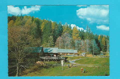 AK Almgasthof Zum Guten Hirten. Am Aufstieg der Bärenschützklamm bei Mixnitz.