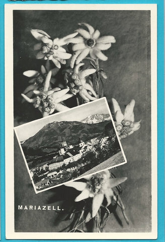 AK Mariazell.